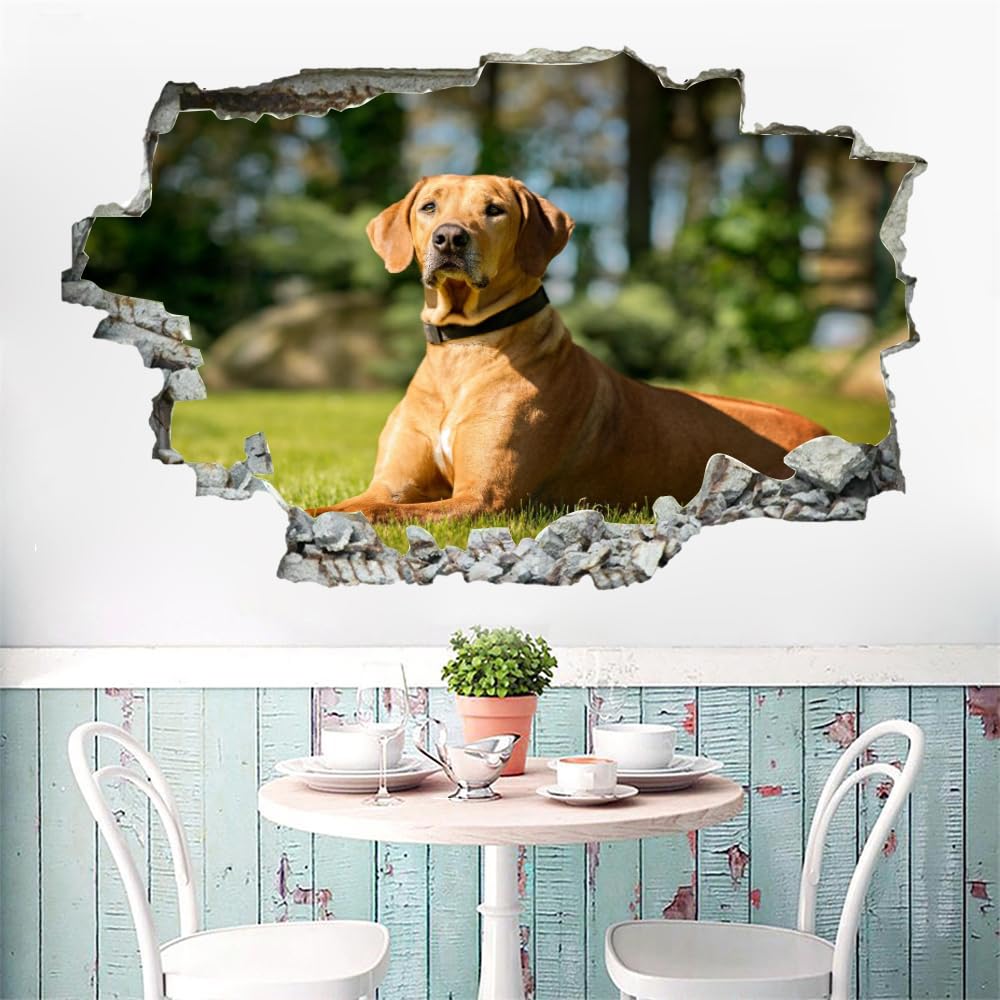 Decorazioni da parete Adesivi 3D fracassati Cane Rimovibile Art Wall Tattoo Famiglia di animali Decalcomanie da muro per la casa Nursery Ragazze Bambini Soggiorno Camera da letto Decorazione