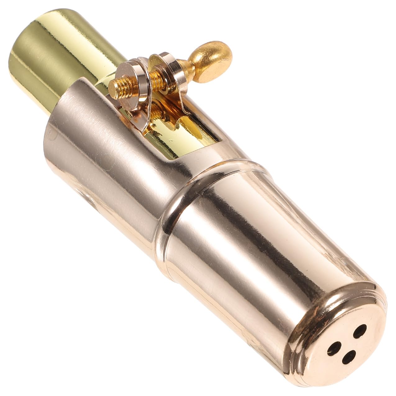 ibasenice 2ensembles Bec Métal Pour Saxophone Alto Avec Capuchon Et Kit De Lanière Accessoires Pour Instruments à Vent Remplacement Pratique Et