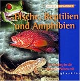  Wissen kompakt: Fische, Reptilien und Amphibien