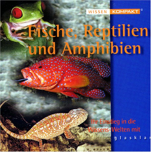 Preisvergleich Produktbild Wissen kompakt: Fische, Reptilien und Amphibien