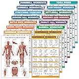 16 Pack - Exercise Workout Poster Set: Dumbbell, Suspension, Kettlebell, Bands, Medicine Ball, Battle Rope, Stretching, Bodyweight, Barbell, Yoga, Exercise Ball (PAPER - NOT LAMINATED, 18' x 24')