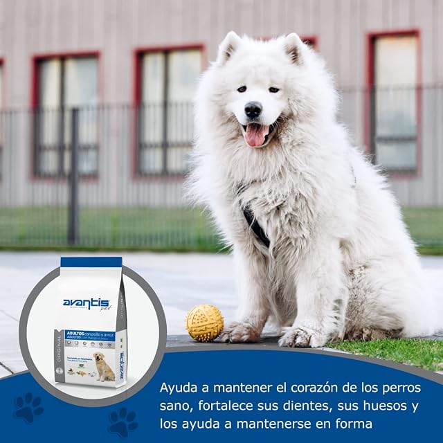 Foto 6 de 8 de Avantis Pet Original Pollo y Arroz 3 kg - Pienso para Perros Adultos de Razas Medianas y Grandes