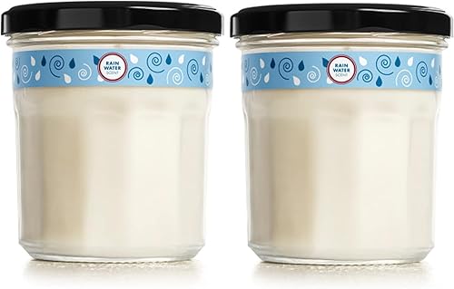 Mrs. Meyer's Clean Day Soy Candle