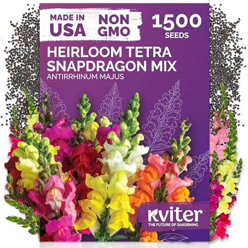 KVITER 1,500 Tetra Mix Snapdragon seeds (Antirrhinum Majus) – Heirloom