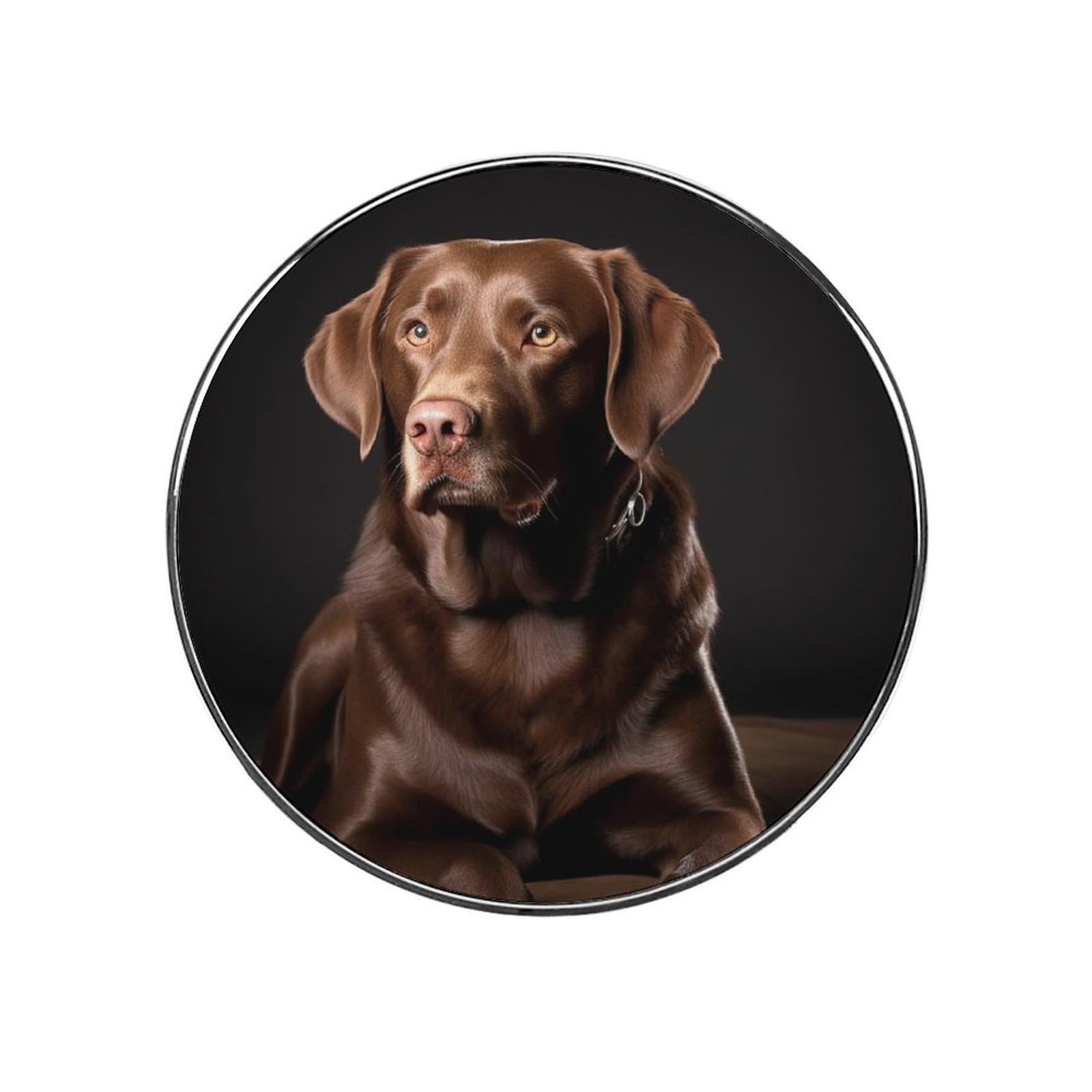 Fridge Magnets Waterproof Heavy Duty Small Strong Magnet Brown Labrador Retriever Refrigerator Magnets Cute Magnetic Locker Accessories Mini Decorative Magnet for Whiteboard Office Kitchen Decor