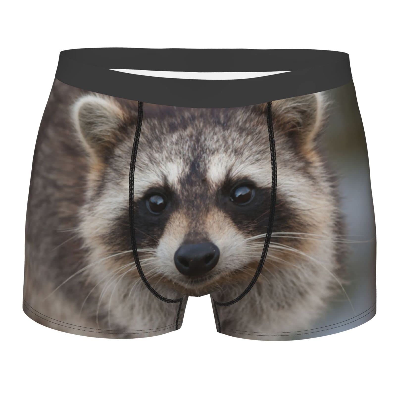 AOOEDM Raccoon Looking Directly Funny Boxer Briefs for Men, Underwear for Men