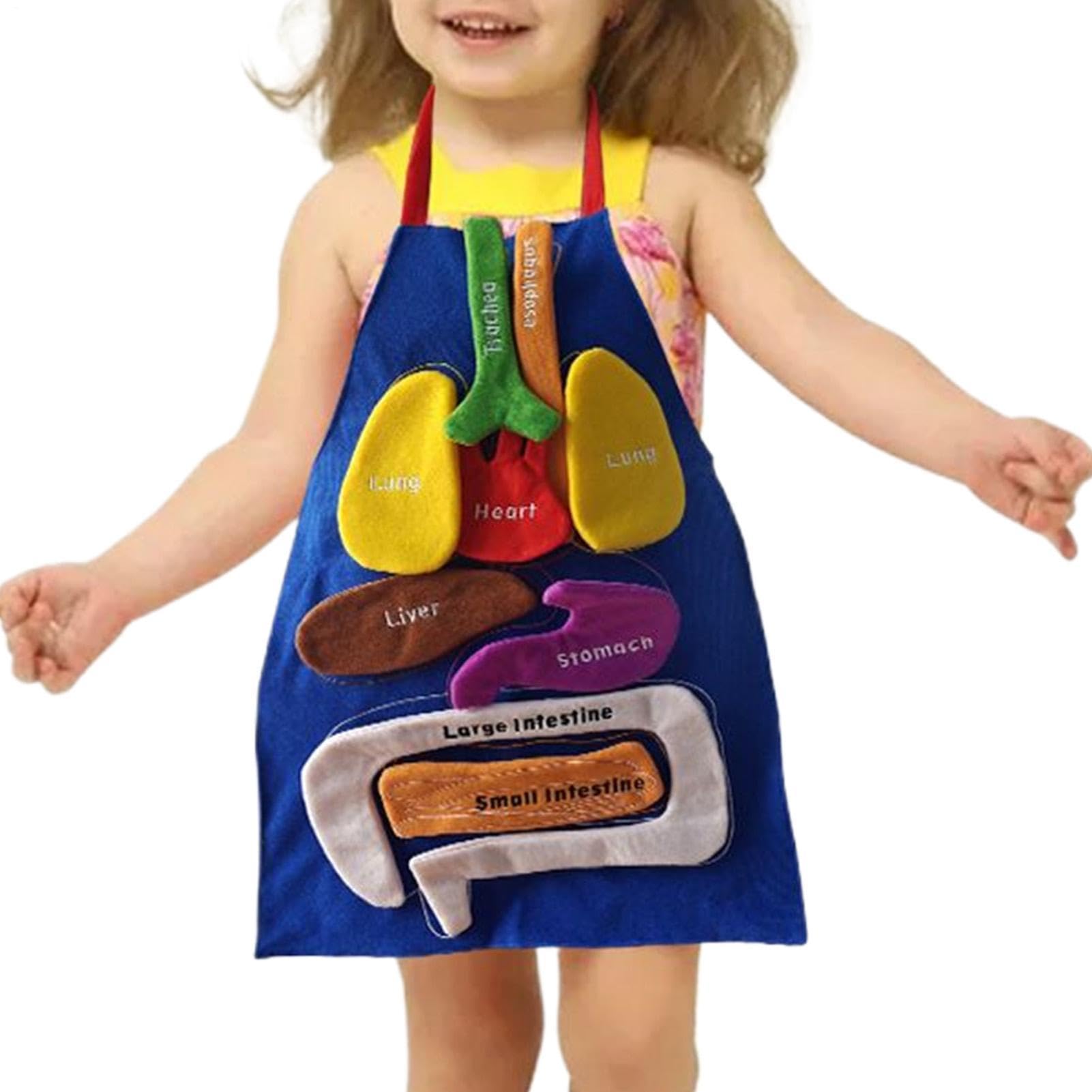 Human Internal Organs Apron, 3D Anatomy Apron Educational Body Organ Model, 3D OrganApron, Realistic Early Learning Tool, Human Body Organs Awareness Toy, Anatomy ApronToy For Teaching Supplies