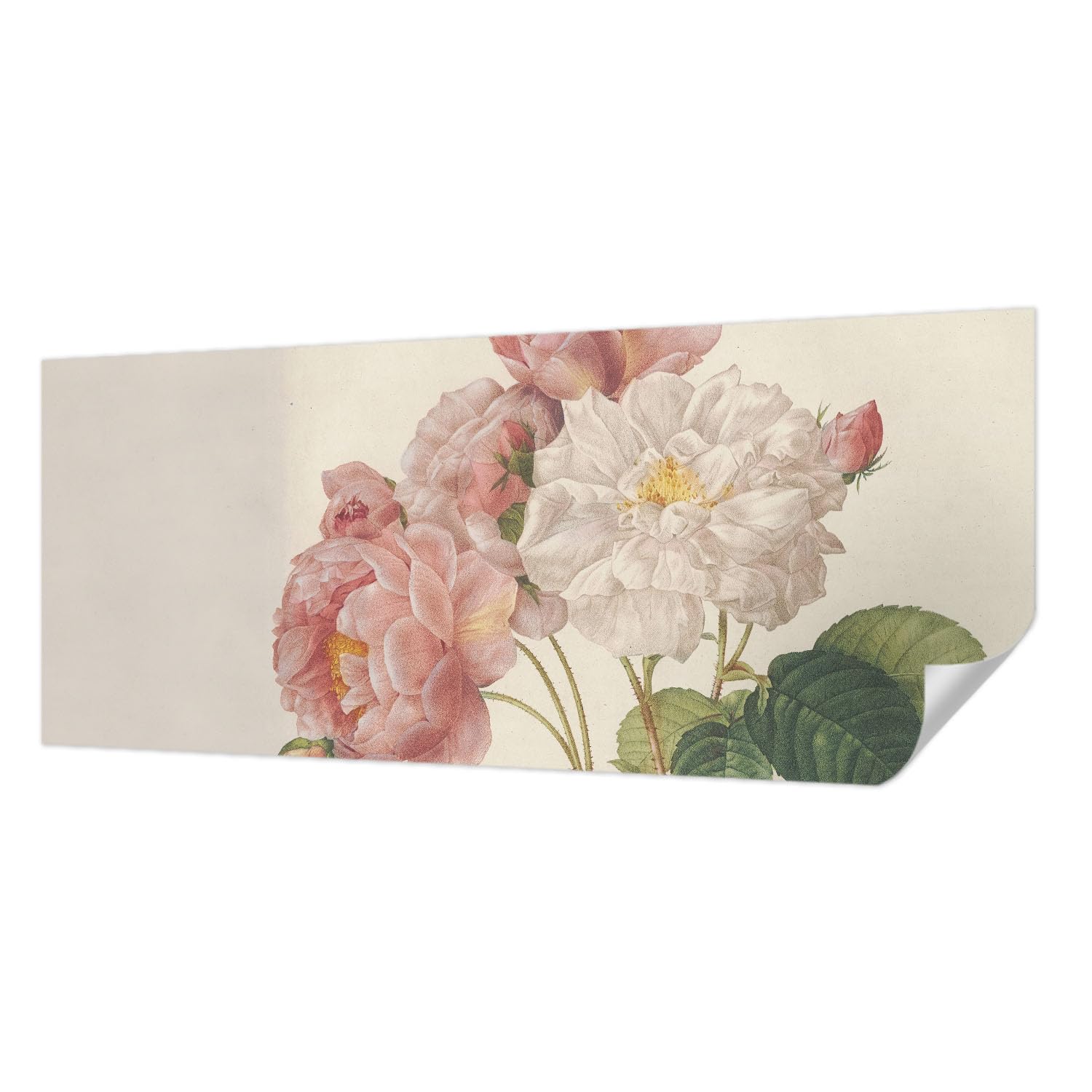 Papier peint adhésif haute qualité panoramique roses romantiques