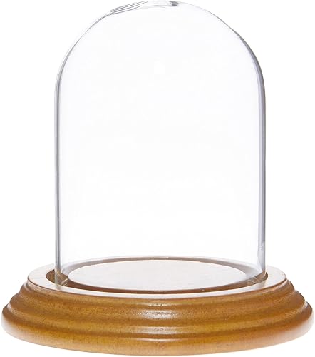 Miniatura 6 de Plymor Cúpula de cristal pequeña de 2.5 x 3.5 pulgadas (base de chapa de madera negra)