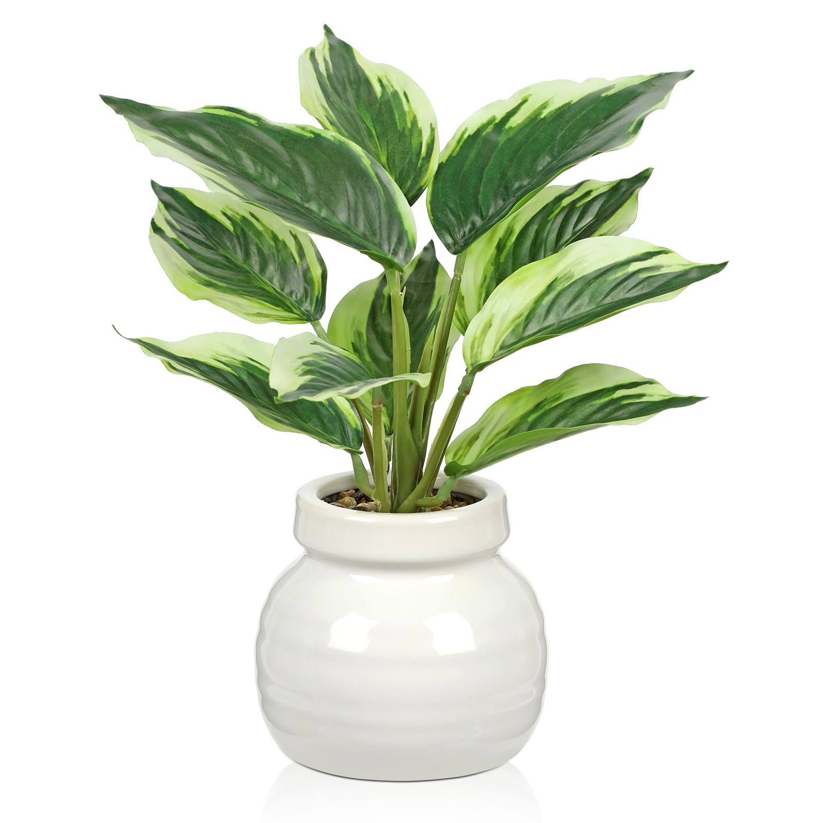 Arborus Small Artificial Plants Indoor in Ceramic Pot 11" Artificial Dieffenbachia Plants Fake Plant with White-Edged Leaf Faux Potted Desk Plants for Living Room Office Bathroom Home Decoration