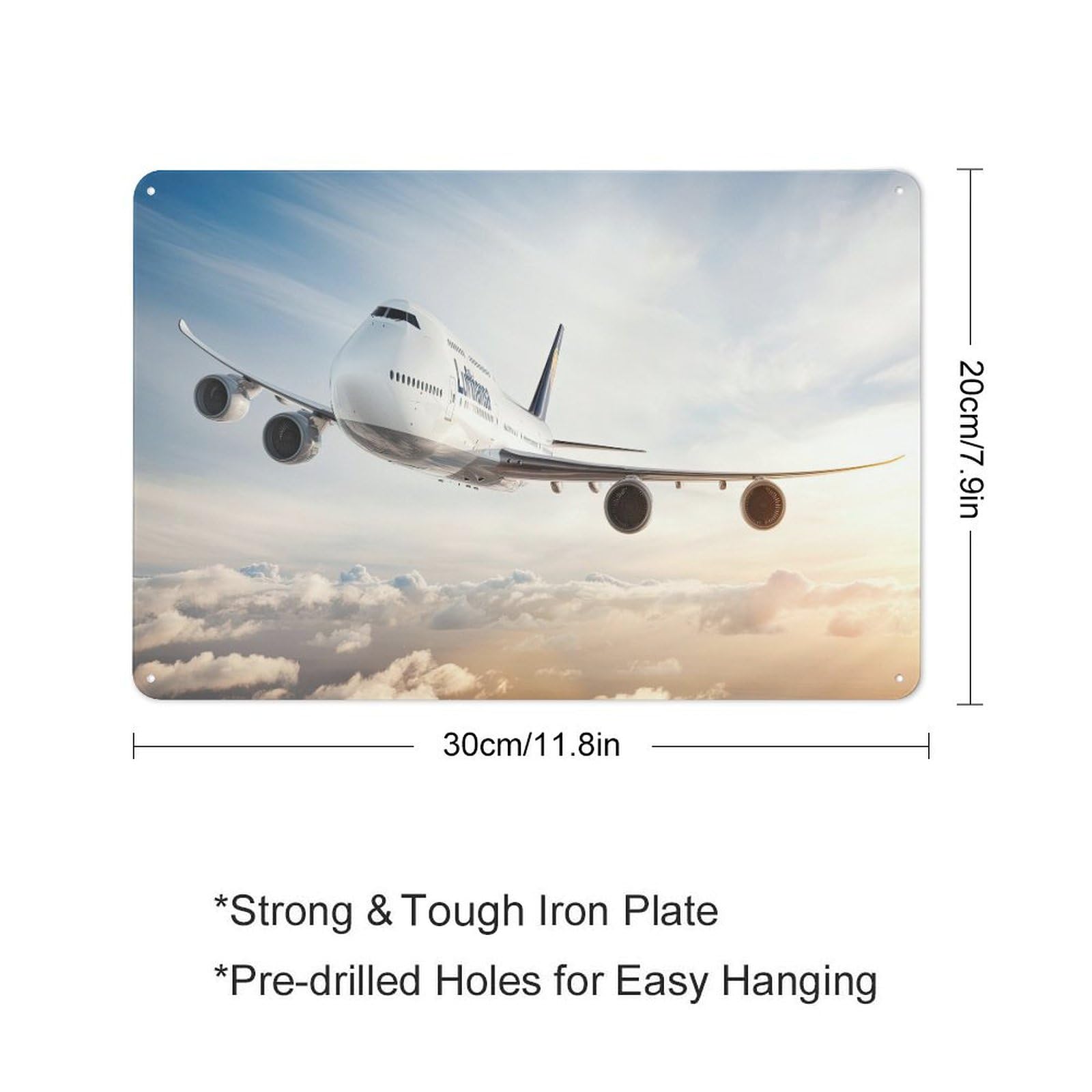 Amazon.com: Airplane Metal Logo Poster 747 Civil Aircraft Sunset