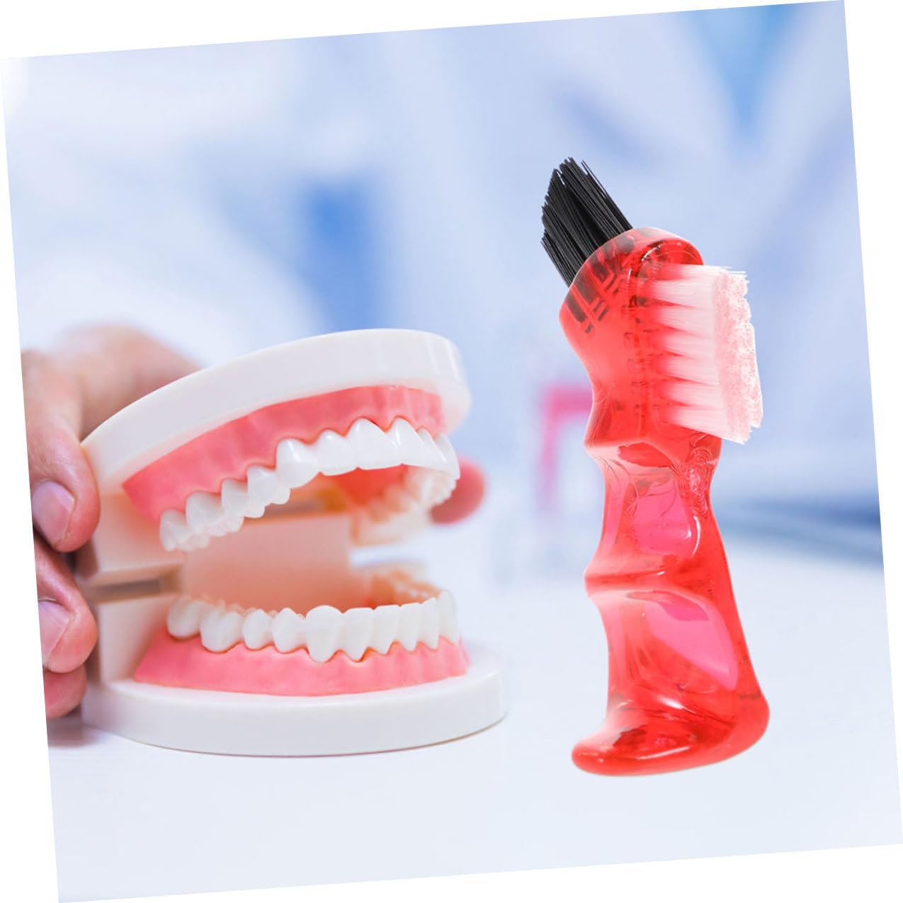 Set 3 Pezzi Spazzolino per Protesi Dentarie Pulizia Portatile in Plastica Pp Setole Morbide e Design Creativo per Igiene Personale Quotidiana