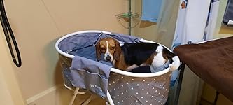 Review Image by Rick Polaski Rick Polaski