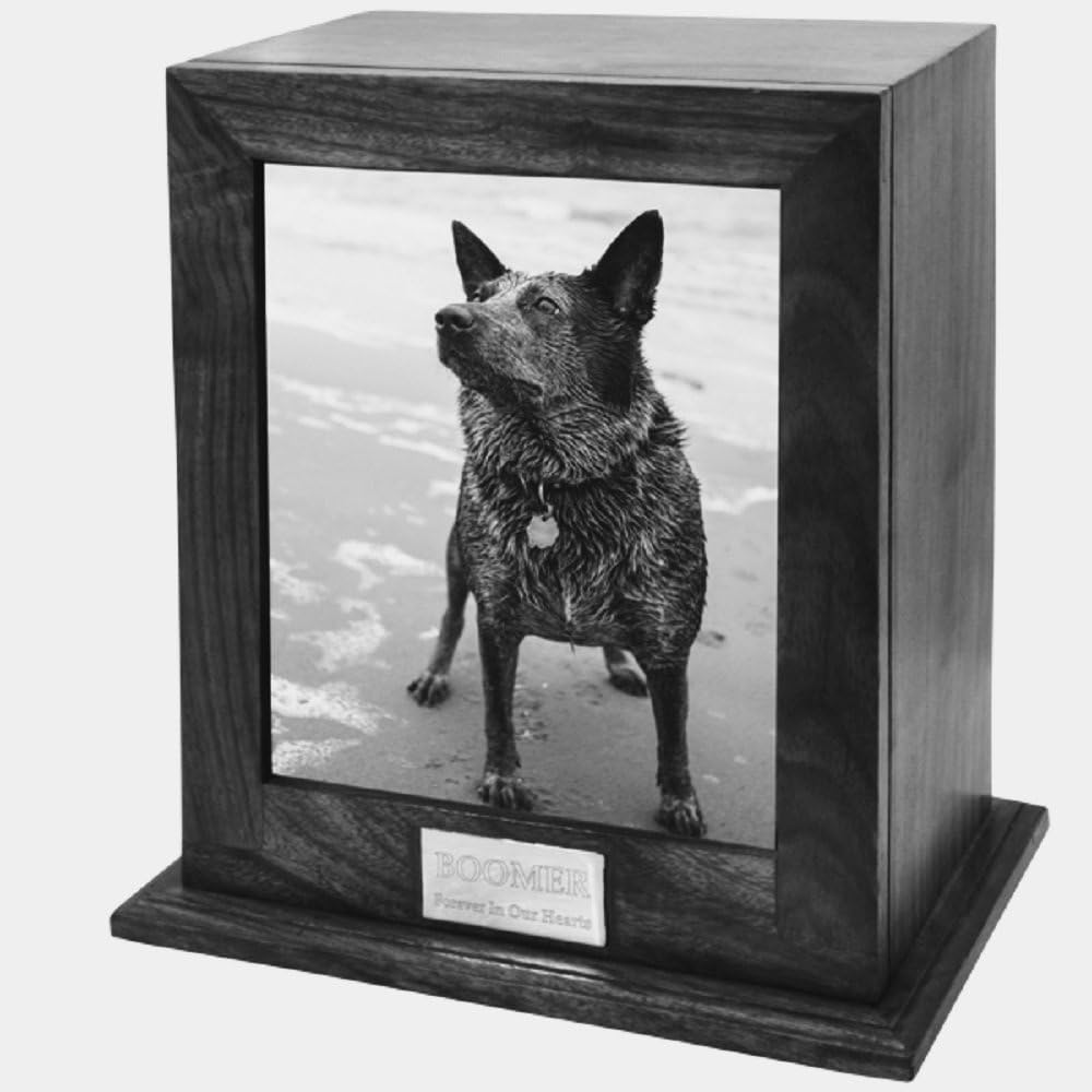 Personalized pet Dog Cat pillow (15.715.7 inch)