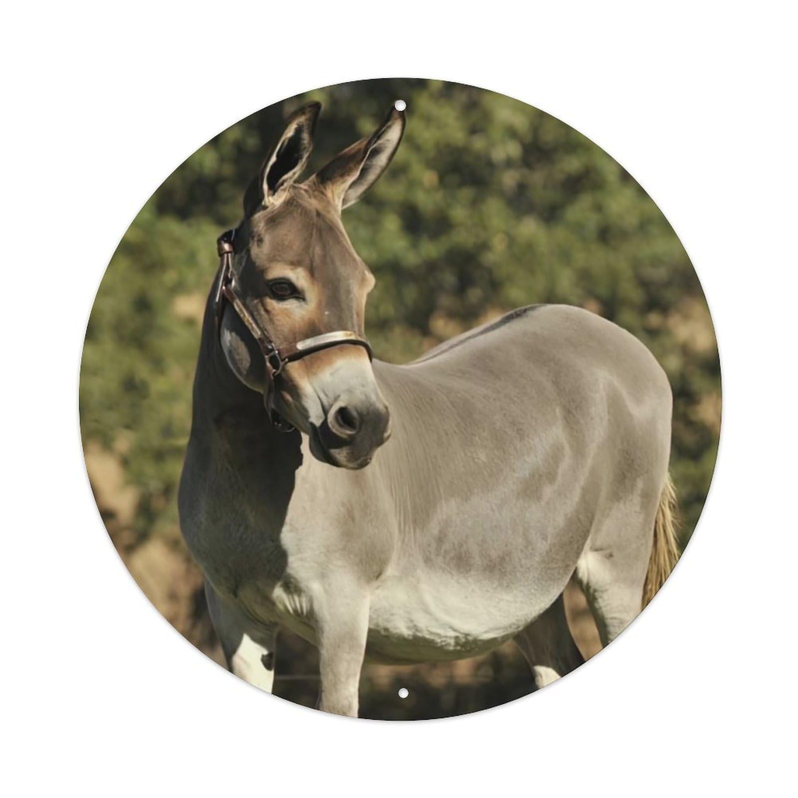 Animal Mule Vintage Metal Tin Sign Plaque Wall Decor for Cafe, Club Bar, Office, Garden Metal Poster 8x8Inch
