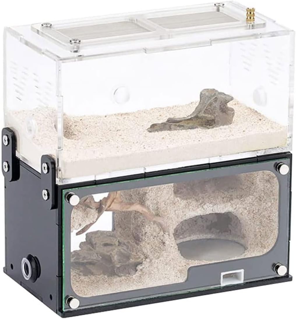 Farm Box Corete Nest Z Wieżą Wodną Przezroczysty Akrylowy Warsztat Castle Hill Przezroczysty Widoczny Edukacyjny Formikarium, 15x15x8cm