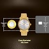 Titan Men's Golden Watch -1712ym02
