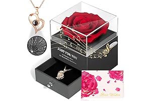 Eternal Rose with 'I Love You' Necklace in 100 Languages Surprise Gift Box