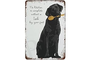 Creative Black Lab Kitchen Art Print Tin Sign