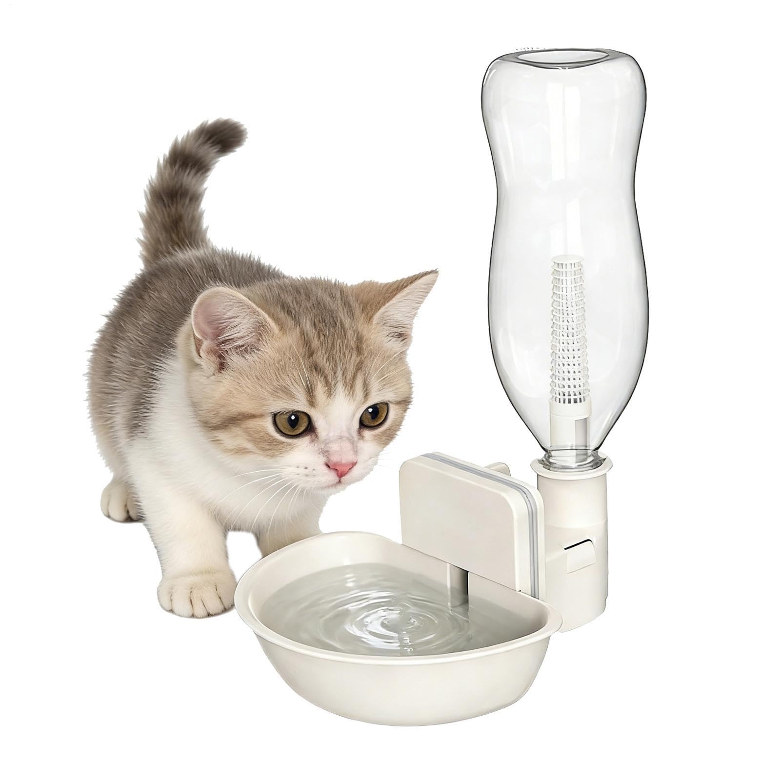 Distributeur d'eau pour chiens et rongeurs : gourde anti-goutte portable