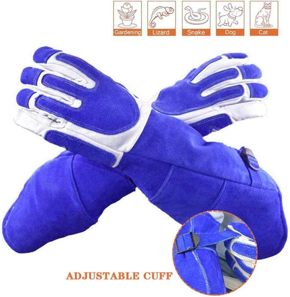 guanto in pelle per ragni