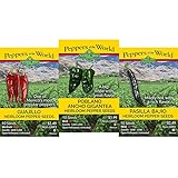 Mexican Flavors/Holy Trinity 3 Pack - Guajillo, Pasilla & Poblano Seeds