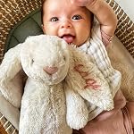 2026 Personalised Embroidered Plush Bunny, Custom Plush Toy Child's Easter Gift, Baptismal Gift with Child's Name