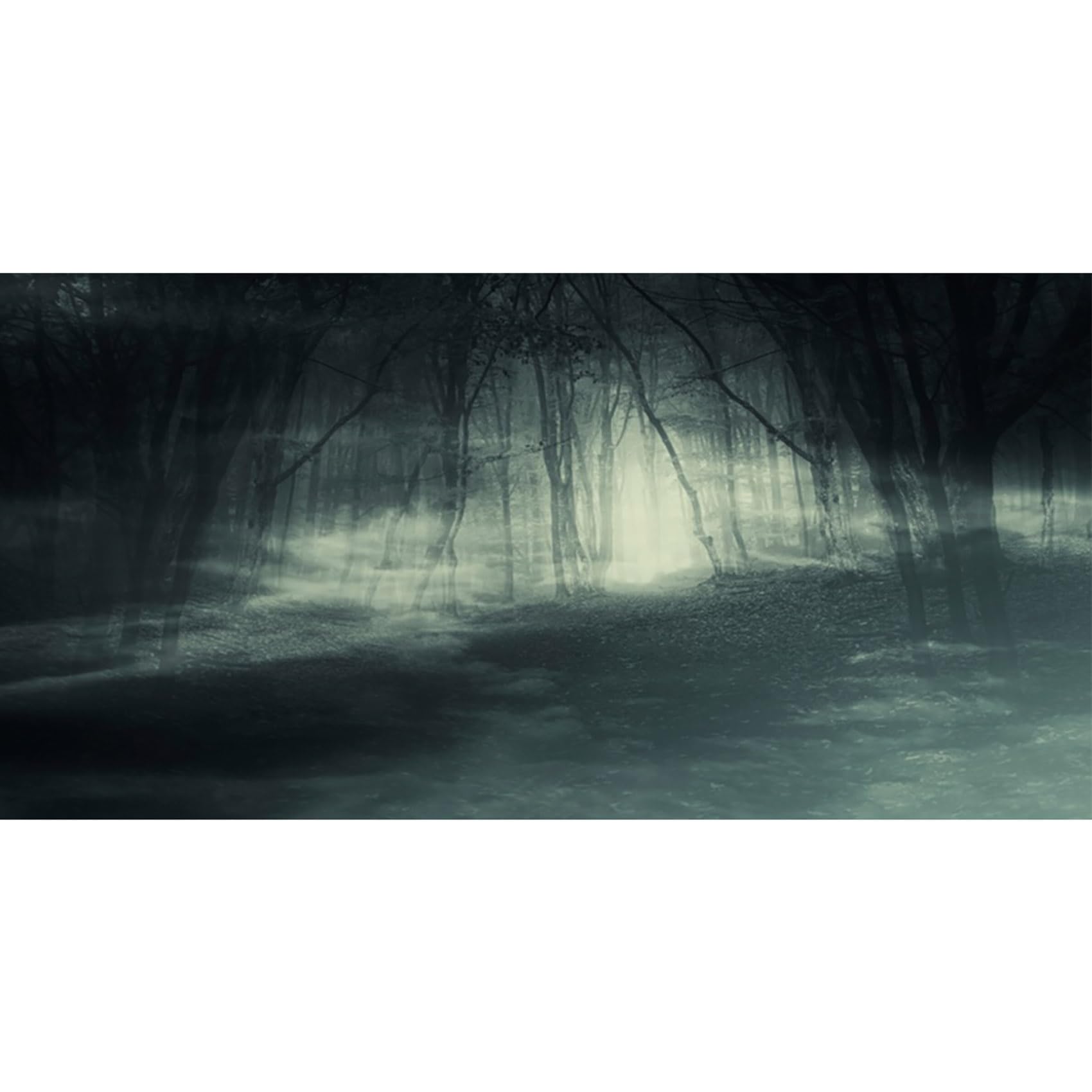 MIRRORANG 76x30cm Dark Scary Aquarium Background Forest Path Horror Night Scenery Vinyl Durable Fish Tank Background