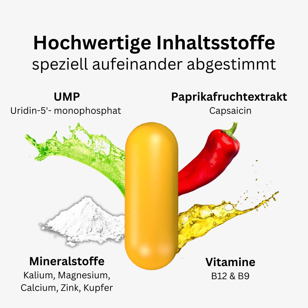 Komplex I Für Löwenstarke Nerven 60 Kapseln I Mit Uridinmonophosphat (UMP) & Paprika I Kann Nervenstärke & Entspannung unterstützen I Mit Mineralstoffen & Vitanimen I Nervenkomplex