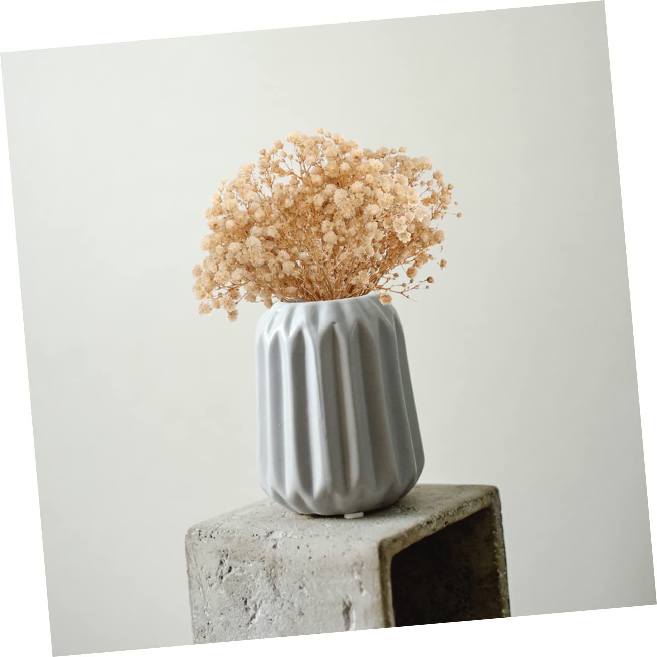 Didiseaon 3 Pièces 10 Petit Bouquet de gypsophile Quenouilles tiges séchées bouda Decoration Interieure Fleur sechees Bouquet de Composition Fleurs d'haleine de bébé séchées Beige