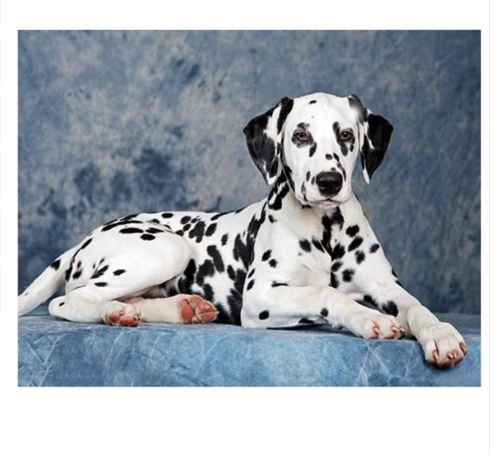 Sanzez Lfzv447 Full Round Diamond Dalmatian Dog 5D Diy Painting 5D Embroidery Pet Cross Stitch Mosaic Painting Home Decor 30X40cm