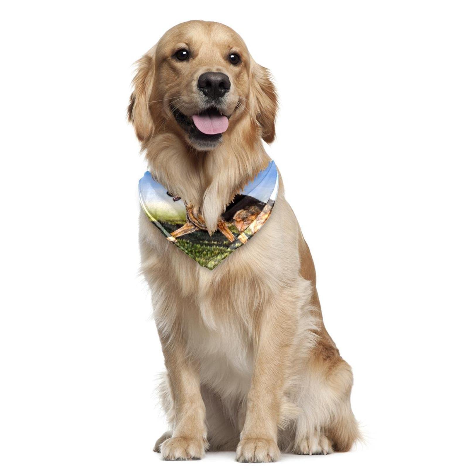 Hundehalstuch-Set – 2 Stück Weiche Schals Für Kleine, Mittlere & Große Hunde