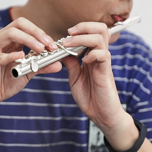 Vista 12 de Eastar Piccolo Instrumento para estudiantes principiantes, llave de flauta C, estuche rígido, kit de limpieza, guantes, 2 piezas, chapado en plata