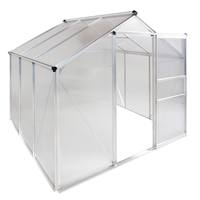Buy Portable Greenhouses for outdoors 6 X 6 Greenhouse Sunroom Large Green House for plants