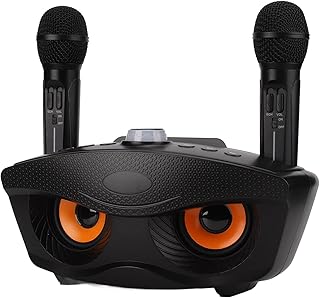 Bewinner Portable Karaoke Machine, Audio Recording for Indoors Outdoor, Home KTV Speaker with Bluetooth, Memory Card, Aux, U Disk, Comes with K Song Mode for Home Party KTV Birthday