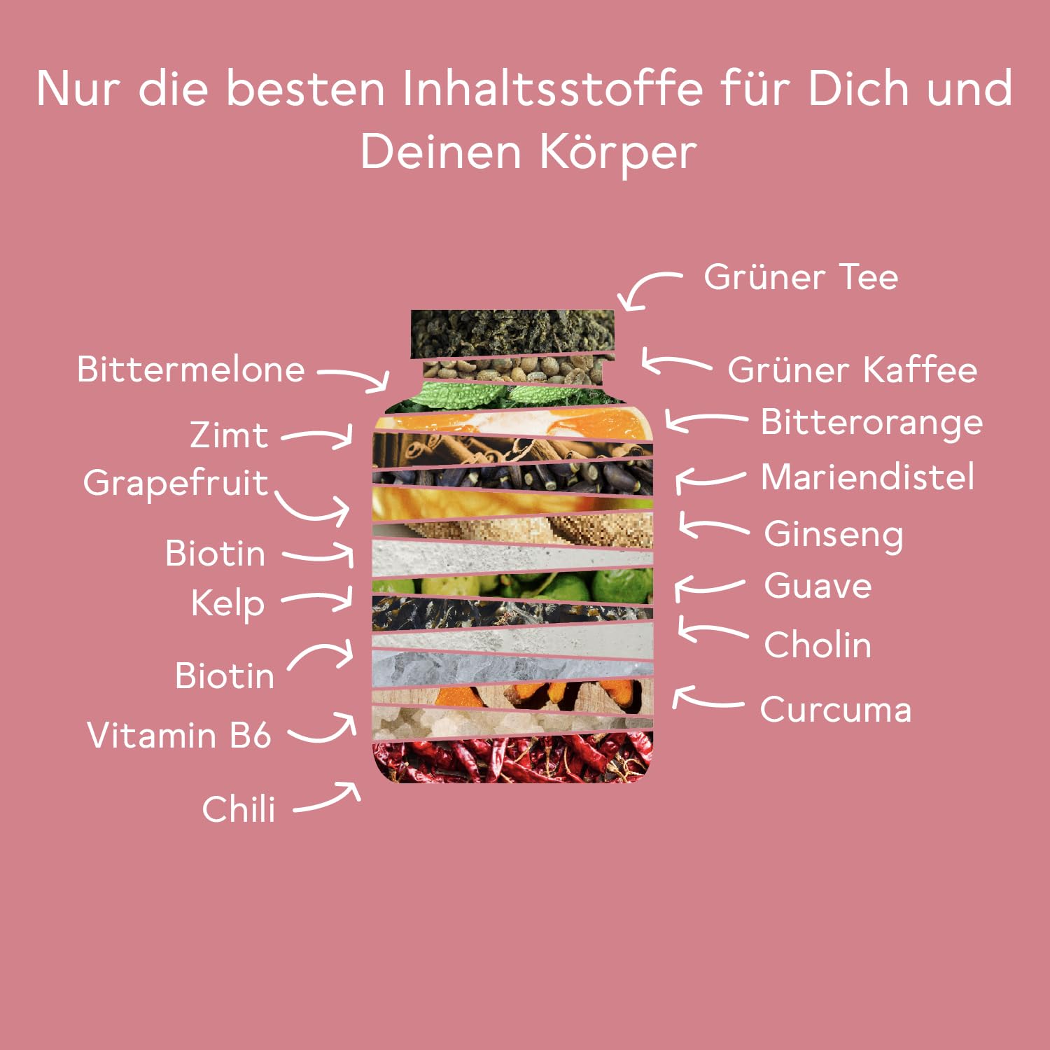 BitterLiebe® Bitter Stoffwechsel * Komplex - 90 hochdosierte Kapseln mit Cholin, Zink, Vitaminen & Bitterstoffen - Für einen normalen Fett- und Energiestoffwechsel *- Vegan & Made in Germany