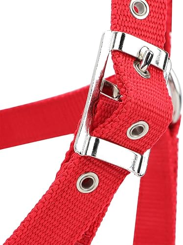 Miniatura 7 de Cabestro ajustable para caballo, cabestro de cuero para caballos, cabestro de cuero para caballos Halter, control de caballo, caballo, correa de