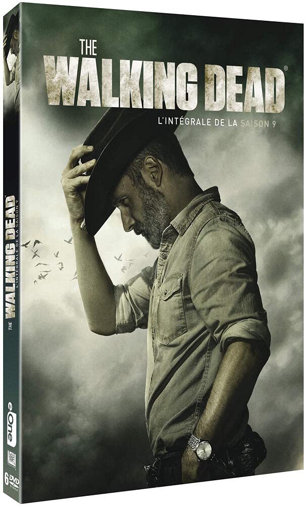 The Walking Dead temporada 9 en DVD para coleccionistas que buscan la serie completa francesa