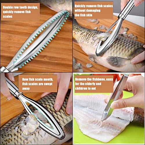 GZLCEU 3 of Set Fish Scale Remover and Fish Tweezers(Slanted/Flat),Stainless Steel Fish Descaler Tools, Fast Cleaner Scraper Tool Kitchen - Image 4