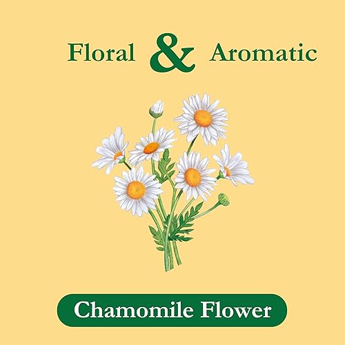 Vista 9 de Tadin Herb & Tea Co. Té herbal de Moringa, sin cafeína, 24 bolsitas de té, Paquete de 6