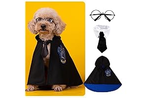 Harry Potter Pet Costume: Become the Magical Canine