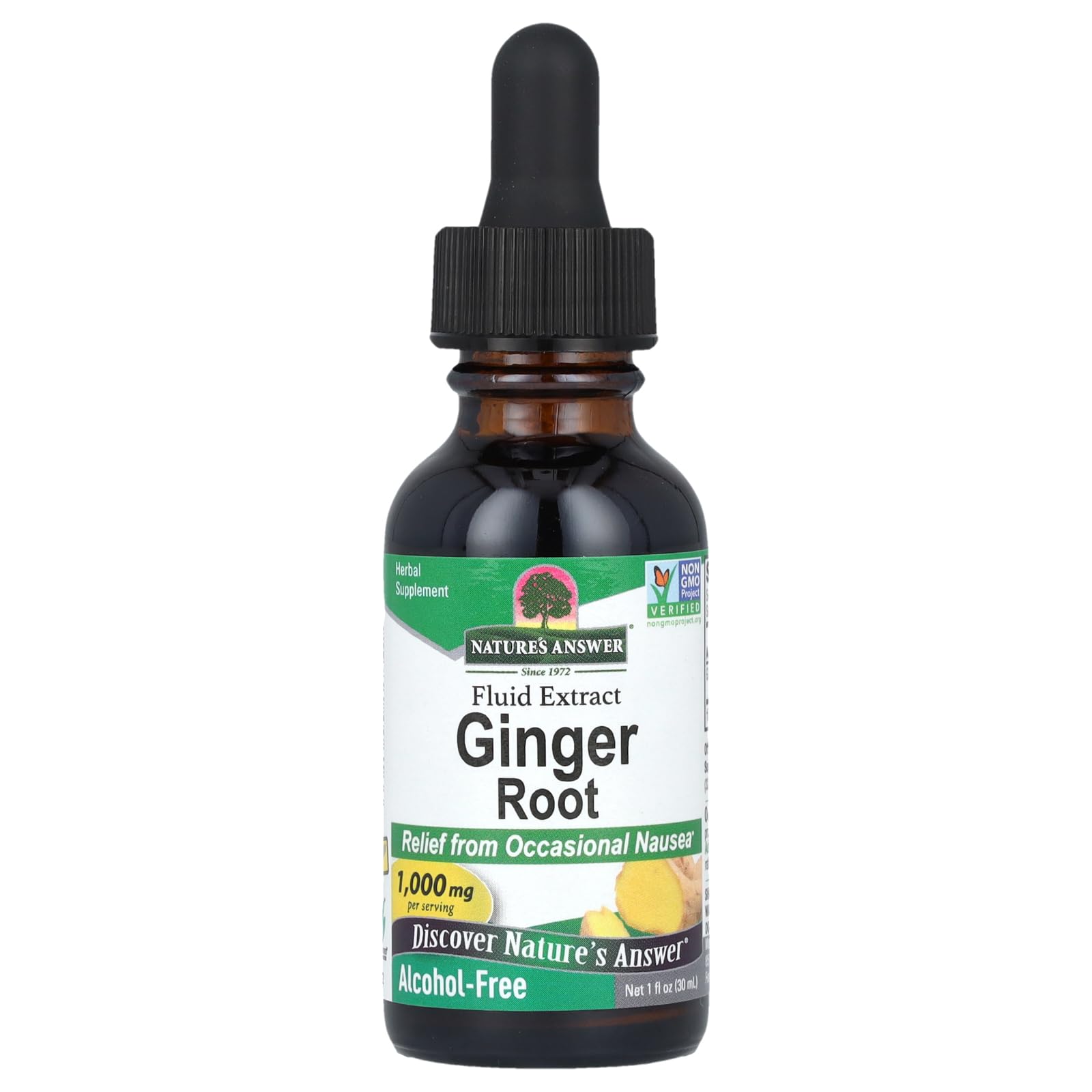 Nature's Answer - Ginger Root - 30ml - Natural Herbal Extract - Supports Digestive Health - for Soothing Upset Stomach & Nausea