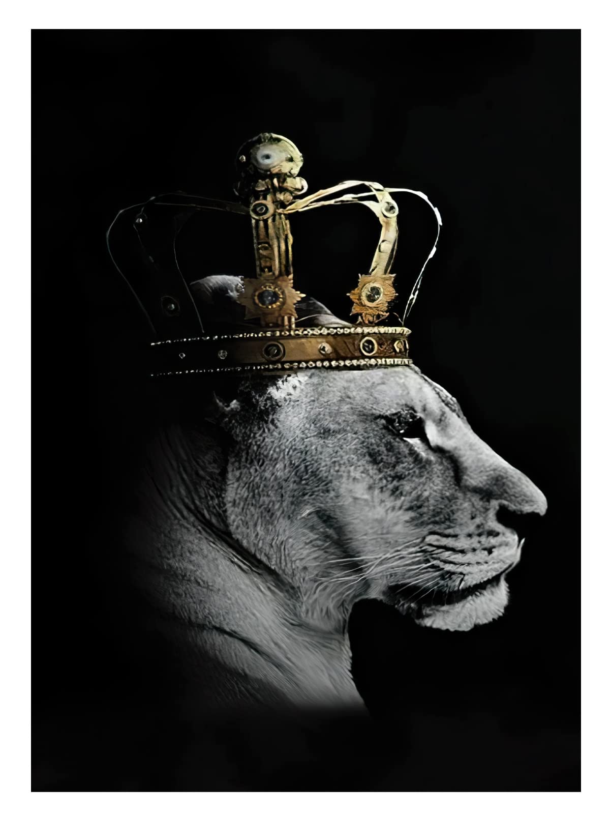 Empire Interactive - Stampa su tela, con leone e leonessa, per soggiorno, camera da letto, decorazione per la casa, senza cornice(B,2x60x90cm)
