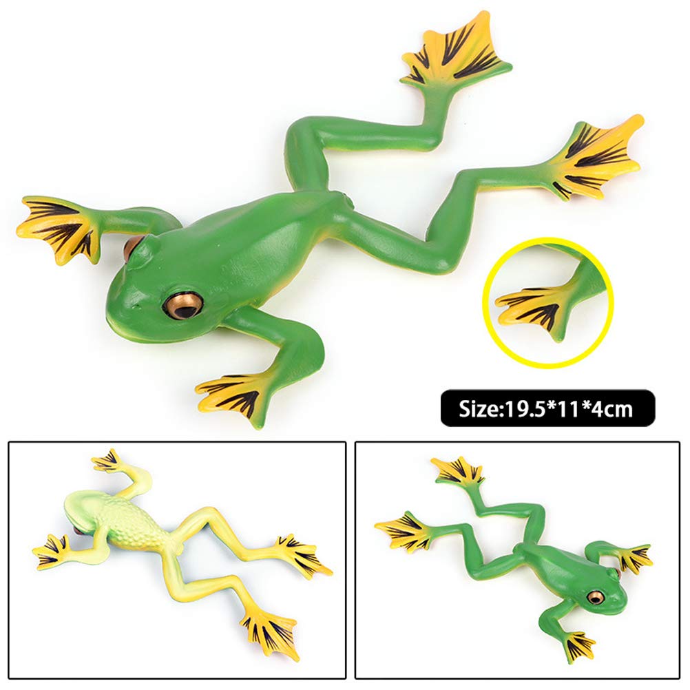 JOKFEICE Figure di animali in plastica a forma di canguro, progetto scientifico, giocattolo educativo, regalo di compleanno, decorazione per torte, per bambini