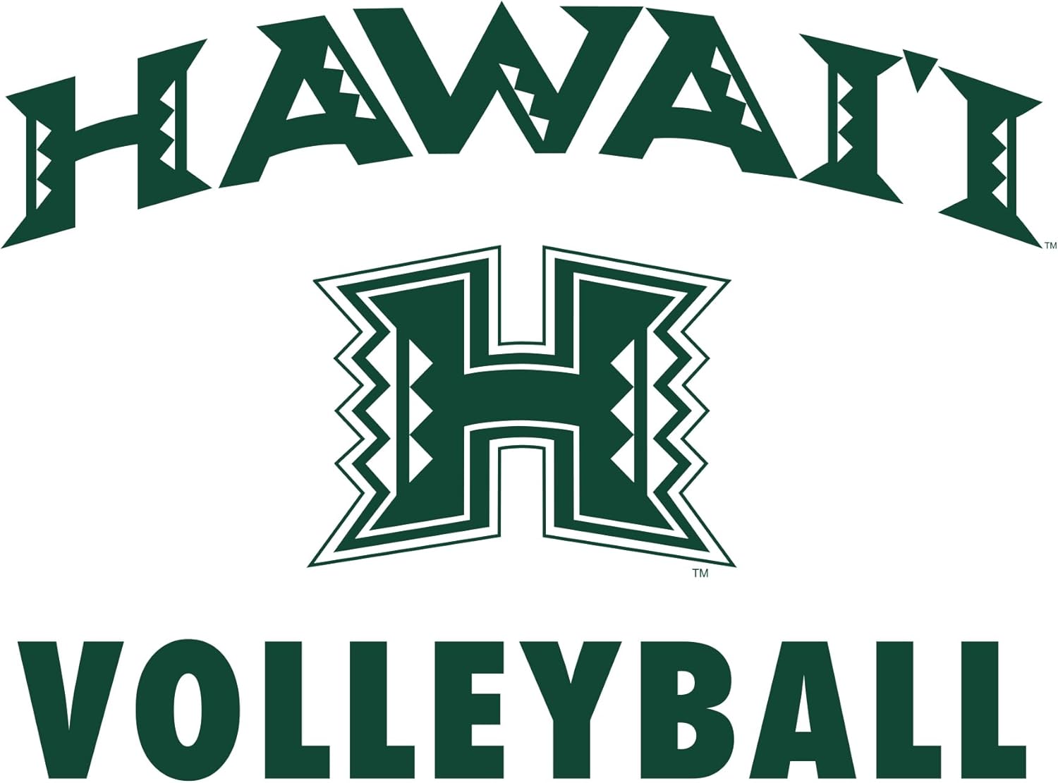 NCAA Arch Logo Volleyball, Team Color T Shirt, College, University