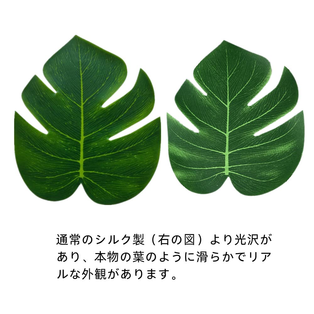 Amazon｜siawadeky モンステラの葉 20枚セット 熱帯の葉 茎なし 人工