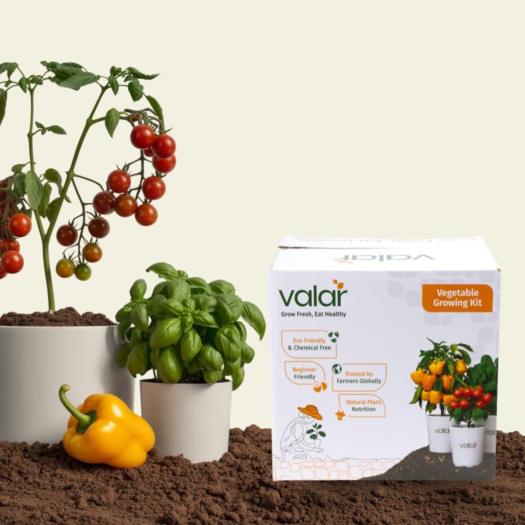Valar Pizza Topping Paradise Kit | Organic Herb & Veggie Set | Grow Fresh Pizza Ingredients at Home!-image-32