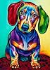 Abillyn Embroidery Cross Stitch Kits Colorful Dachshund Stamped with Printed Pattern Starter Kit Dachshund