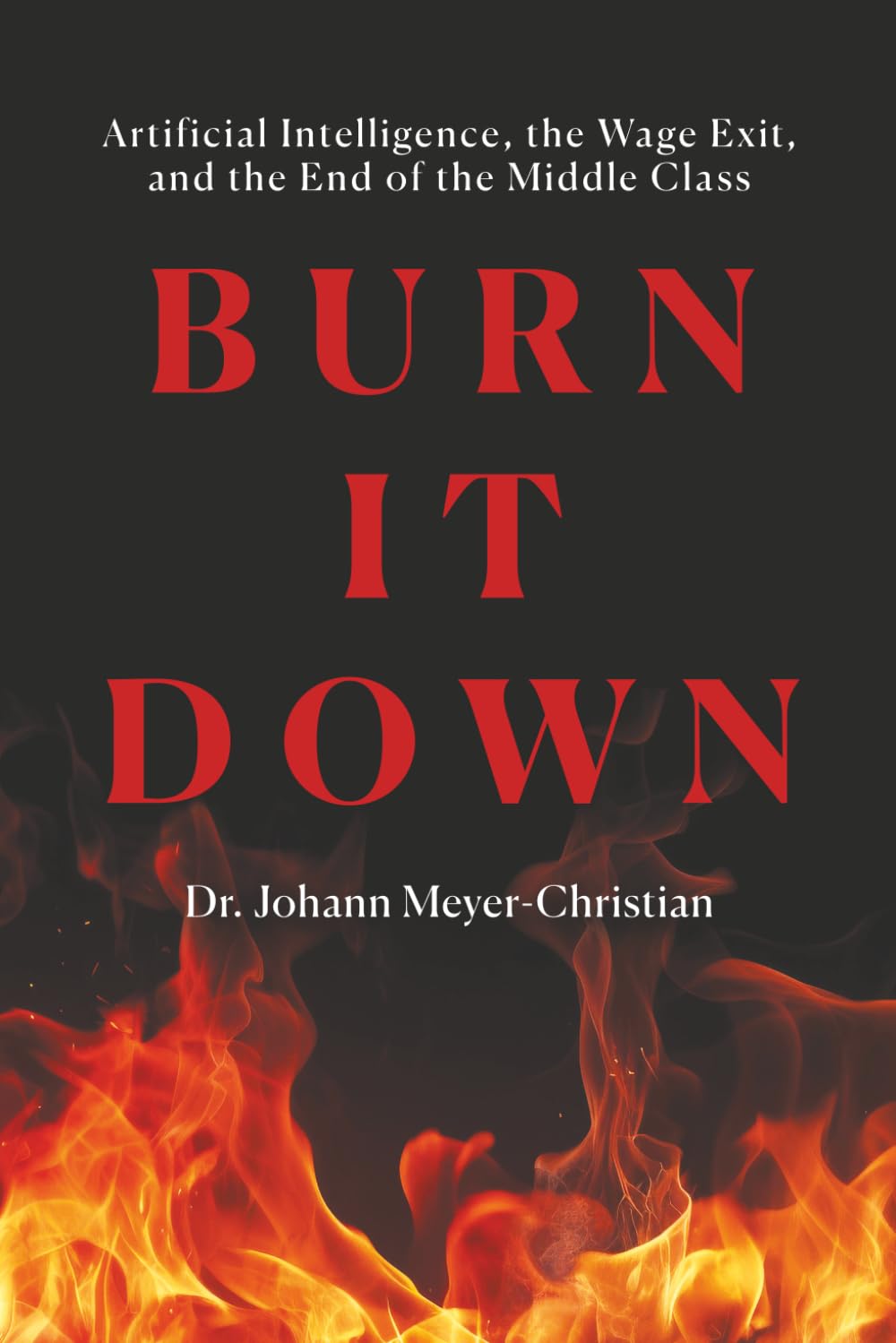 BURN IT DOWN: Artificial Intelligence, the Wage Exit, and the End of the Middle Class