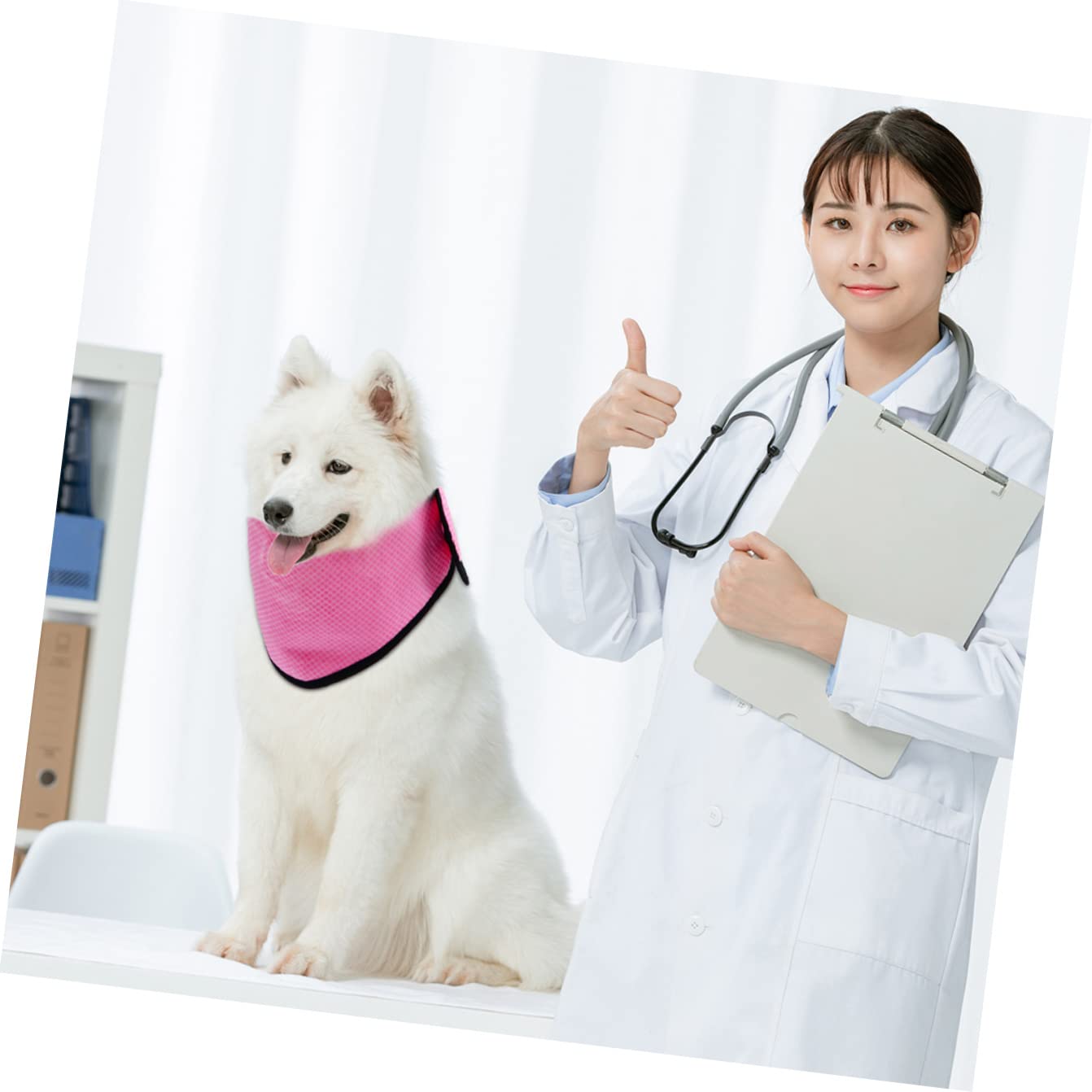 Mipcase 6stücke Hundekühlhalstuch Atmungsaktive Kühlende Schals Für Hunde Im Sommer Für Heiße Tage Aus Kühlendem Für Und Outdoor-aktivitäten
